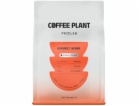 Coffee Plant Kávová rostlina Burundi Nemba 250g kávová zrna
