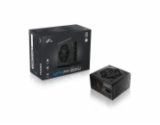 FSP VITA PM/1000W/ATX 3.1/80PLUS Platinum/Modular/Retail