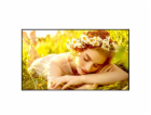 65" LG LED 65UL5 - UHD,500cd,WebOS,24/7