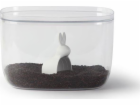 Qualy Úložný kontejner Bella Bunny bílý 7l 10323-CL-WH