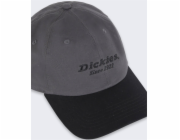 Adidas Kšiltovka Dickies Twill GRAPHITE