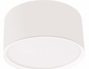 Light Prestige Stropní svítidlo Kendal, povrchová montáž, bílá (LP-6331/1SM WH) - Light Prestige