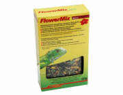 Lucky Reptile Flower Mix