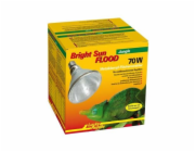 Lucky Reptile Bright Sun FLOOD Jungle