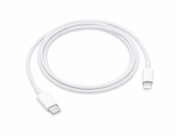 Apple USB Adapterkabel, USB-C Stecker > Lightning Stecker (weiß, 1 Meter, PD, Laden mit bis zu 100 Watt)