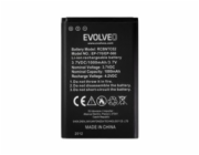 EVOLVEO originální baterie 1000 mAh pro EasyPhone FP,FS