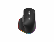 Acer Easy Fit/Ergonomická/Optická/Pro praváky/4 000 DPI/USB+BT/Černá