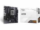 Základní deska BIOSTAR A620MT-E 2.0
