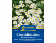 Kiepenkerl Seeds Sedmikráska luční