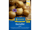 Kiepenkerl sadbový brambor Jubila®, F1