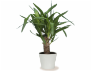 Sazeč Scheurich 808 O 24 cm Panna