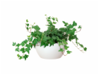 Miska Artevasi San Remo, průměr 23 cm, bílá