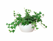 Miska Artevasi San Remo, průměr 23 cm, bílá