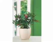 Sazeč Scheurich 920 O 14 cm krém