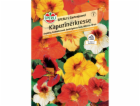 Sperliho Nasturtium "Sperliho zahradní klenot" Tropaeolum...