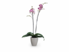Sazeč Scheurich 620 O 13 cm Taupe