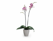 Sazeč Scheurich 620 O 13 cm Taupe