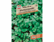 Sperli listový koriandr "Sperli s Marino" (Coriandrum sativum)