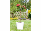 Bambusová tyč 60 cm, průměr cca 0,5 cm