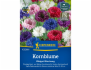 Kiepenkerl chrpa "Midget Mix" Centaurea cyanus