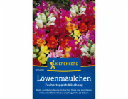Kiepenkerl Snapdragon "Magic Carpet Mix" Antirrhinum majus