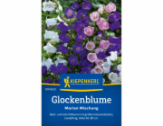 Zvonek Kiepenkerl "Mary s Mix" Campanula patula
