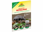 Neudorffův řád, sada užitečného hmyzu pro velké plochy