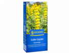 Kiepenkerl Zelené hnojení "Žlutý lupina" 250 g Lupinus