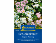 Kiepenkerl Baby s Breath "Elegans Mix" Gypsophila