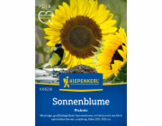 Kiepenkerl Krmivo pro domácí mazlíčky "Pták - Slunečnice" Helianthus annuus