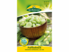 Quedlinburský bob obecný   Hangdown Green Kernel  