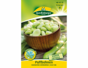 Quedlinburský bob obecný   Hangdown Green Kernel  