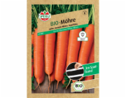Páska na semínka hybridní mrkve Sperli Organic F1