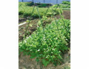 Trellis 150 cm zelená