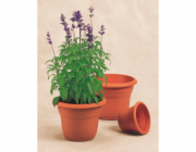 Florus Květináč Fiore Alessia O 35 cm terakota