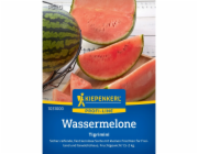 Kiepenkerl meloun "Tigrimini" F1 hybrid (Cucumis melo)