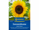 Kiepenkerl Slunečnice "Žlutý disk" Helianthus