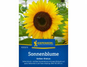 Kiepenkerl Slunečnice "Žlutý disk" Helianthus
