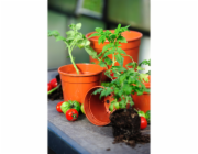 Florus Květináč na sazenice , průměr 6,5 cm, terakotový