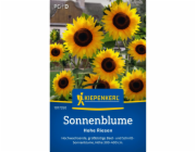 Kiepenkerl ova slunečnice "High Giants" Helianthus annuus