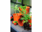 Florus Květináč na sazenice , průměr 21 cm, terakotový