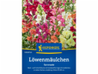 Kiepenkerl Snapdragon "Serenade" směs Antirrhinum
