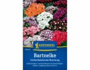 Kiepenkerl Sweet William "Směs jednokvětých" vícebarevná