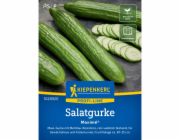 Kiepenkerl Profi-Line okurka “Maxime” F1 hybrid