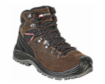 7279009
