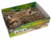 Lucky Reptile Deco Set