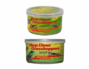 Lucky Reptile Herp Diner - sarančata
