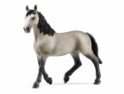 Schleich Horse Club        13955  Cheval de Selle Francai...