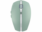 Cherry Gentix BT Agave Green
