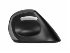 RAPOO Bezdrátová ergonomická myš EV250